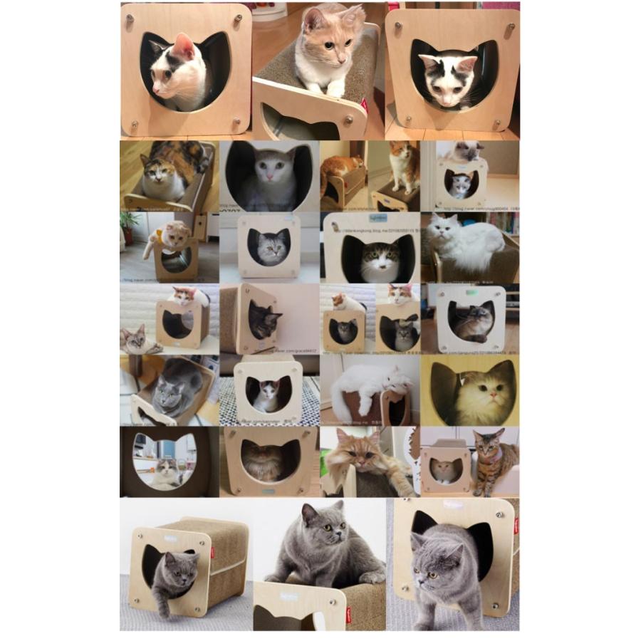 キャットハウス 冬 木製 ねこ 猫用 ペットハウス トンネル 爪とぎ 3way 隠れ家 猫ベッド 猫用ハウス おしゃれ Ygp01 Ygp01 Doridoriヤフー店 通販 Yahoo ショッピング