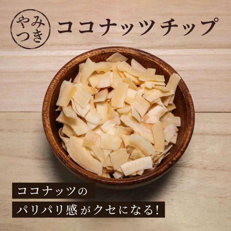 ココナッツチップス 100g 単品 乾燥果実 ドライフルーツ ココナッツ 食物繊維 ヤシの実 乾燥ヤシの実 Kpdry 073 ナッツ専門店 クノップ 通販 Yahoo ショッピング