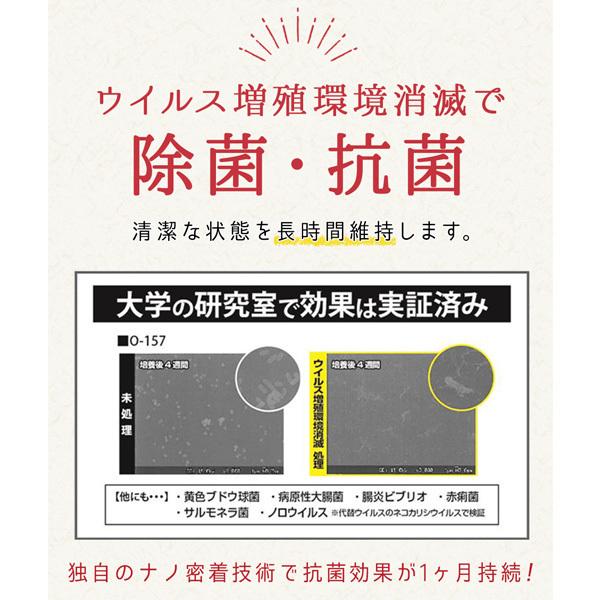 染めQ ウイルス増殖環境消滅 除菌抗菌スプレー 500ｍL 6本セット 除菌 抗菌 除菌抗菌スプレー スプレータイプ アルコールスプレー｜knopp｜05