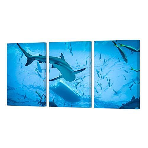 予約販売品 Homeoart サメの絵 海洋魚 ウォールアート 海 水中 アニマルペイント フレーム入りアートプリント ホームウォールデコ 16インチx24インチ 即日出荷 Tradingview Aicpvtltd Com