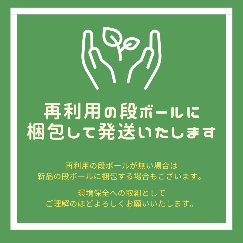 送料無料】矢崎 調整器 1口ヒューズガス栓セット (R5A-HF) (G015Z-12P