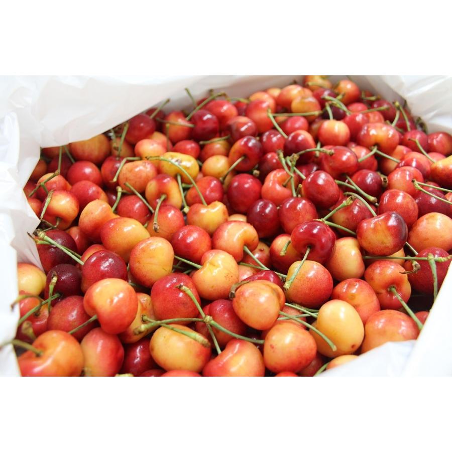 アメリカンチェリー特選大粒 レイニアチェリー 4kg レーニアチェリー Cherry 4kg Kanazawa1961 通販 Yahoo ショッピング