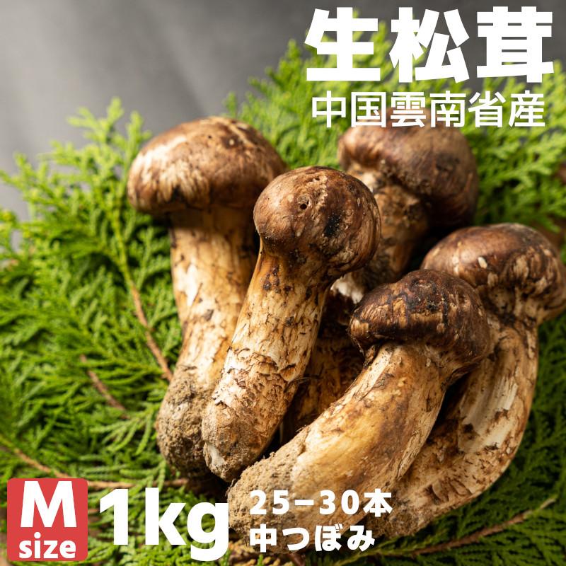 本日限り大特価！中国雲南省産松茸 約1kg 大量仕入れ！つぼみS (5〜7cm) 本日限り大特価！中国雲南省産松茸 約1kg 大量仕入れ！つぼみS (5