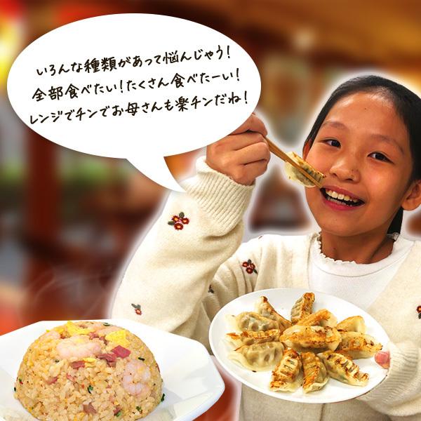 皇朝 チャーハン 炒飯 冷凍 送料無料 送料込み お取り寄せ 食品