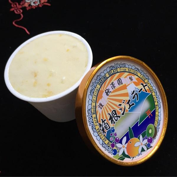 秋澤園　　箱根ジェラート　ファミリー12個セット |  | 01