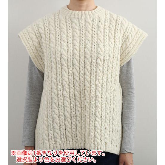 ｔ*ａ様 ドゥロワー ウールカシミヤ　ケーブルニット　アラン編　厚手　ベスト　ネ ダルマ（横田）ケーブル ニットベスト 着分セット（シェットランド