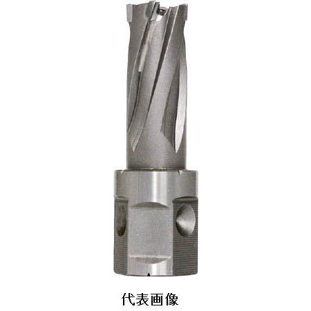 ジェットブローチ ワンタッチタイプ 14×25L NO.16314 日東工器