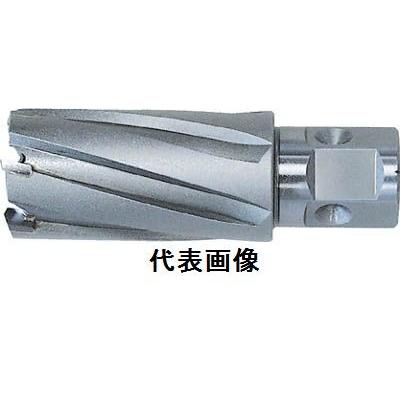 ジェットブローチ ワンタッチタイプ 25×35L NO.16325 日東工器