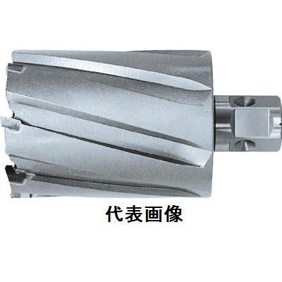 ジェットブローチ ワンタッチタイプ 44×50L NO.16444 日東工器