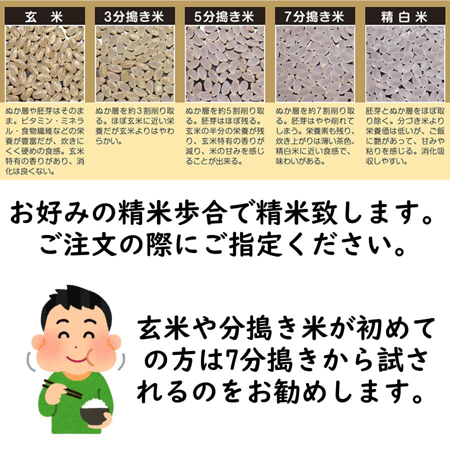 減農薬 玄米 ササニシキ 10kg 令和5年産 特別栽培米 宮城県  精米・分搗き無料｜ko-mura｜02