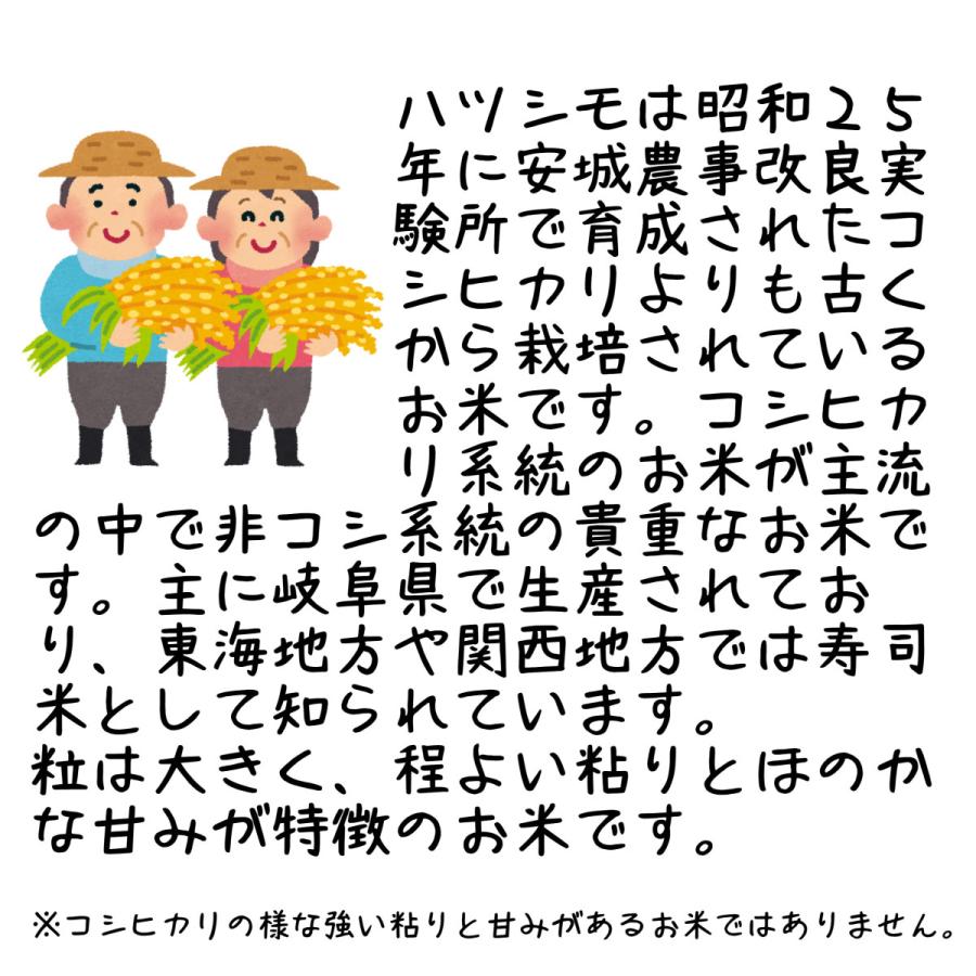ハツシモ はつしも 寿司米 大粒 岐阜県産 5kg 令和7年産 白米「岐阜産