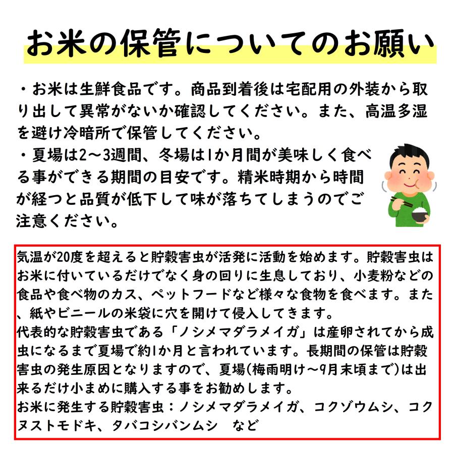 ハツシモ はつしも 寿司米 大粒 岐阜県産 5kg 令和7年産 白米「岐阜産
