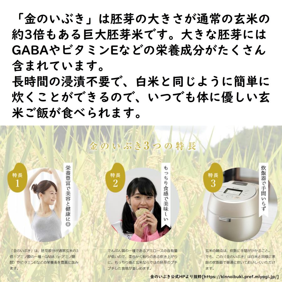 金のいぶき 玄米 2kg 令和6年産 玄米ダイエット 玄米食専用米 金のいぶき 玄米 2kg 令和6年産 玄米ダイエット 玄米食専用米