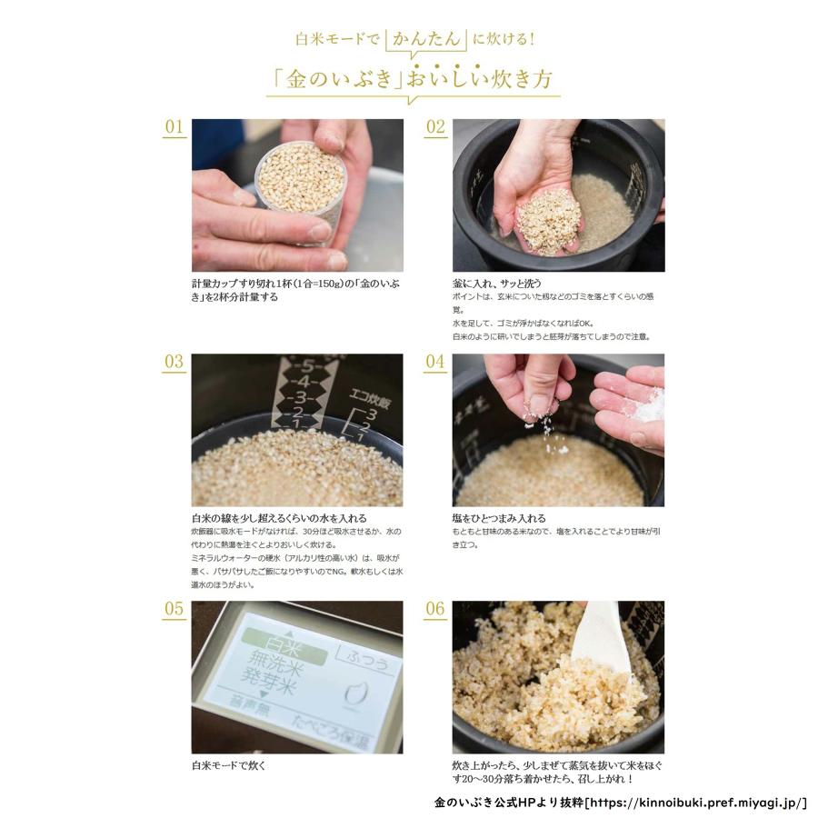 金のいぶき 玄米 4kg 令和5年産 玄米ダイエット 玄米食専用米 宮城県 2kg×2袋｜ko-mura｜04
