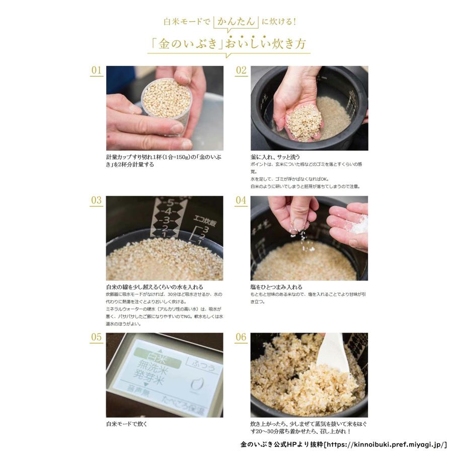 金のいぶき 玄米 4kg 令和6年産 玄米ダイエット 玄米食専用米 金のいぶき 玄米 4kg 令和6年産 玄米ダイエット 玄米食専用米