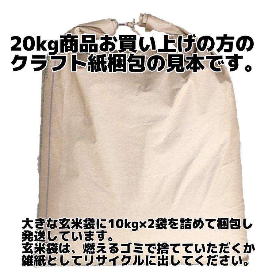 鳥の餌 エサ 20kg 砕米（さいまい）｜ko-mura｜05