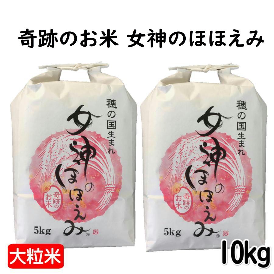 女神のほほえみ 10kg 令和7年産 大粒 白米 5kg×2袋 「お米 10kg