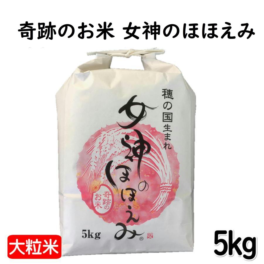 女神のほほえみ5kg 令和7年産 大粒 白米 お中元 ギフト コンテスト優秀