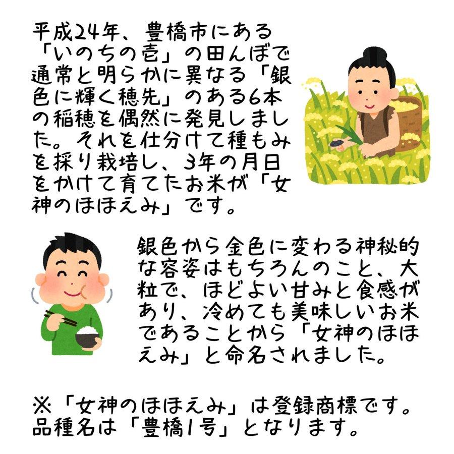 女神のほほえみ5kg 令和7年産 大粒 白米 お中元 ギフト コンテスト優秀