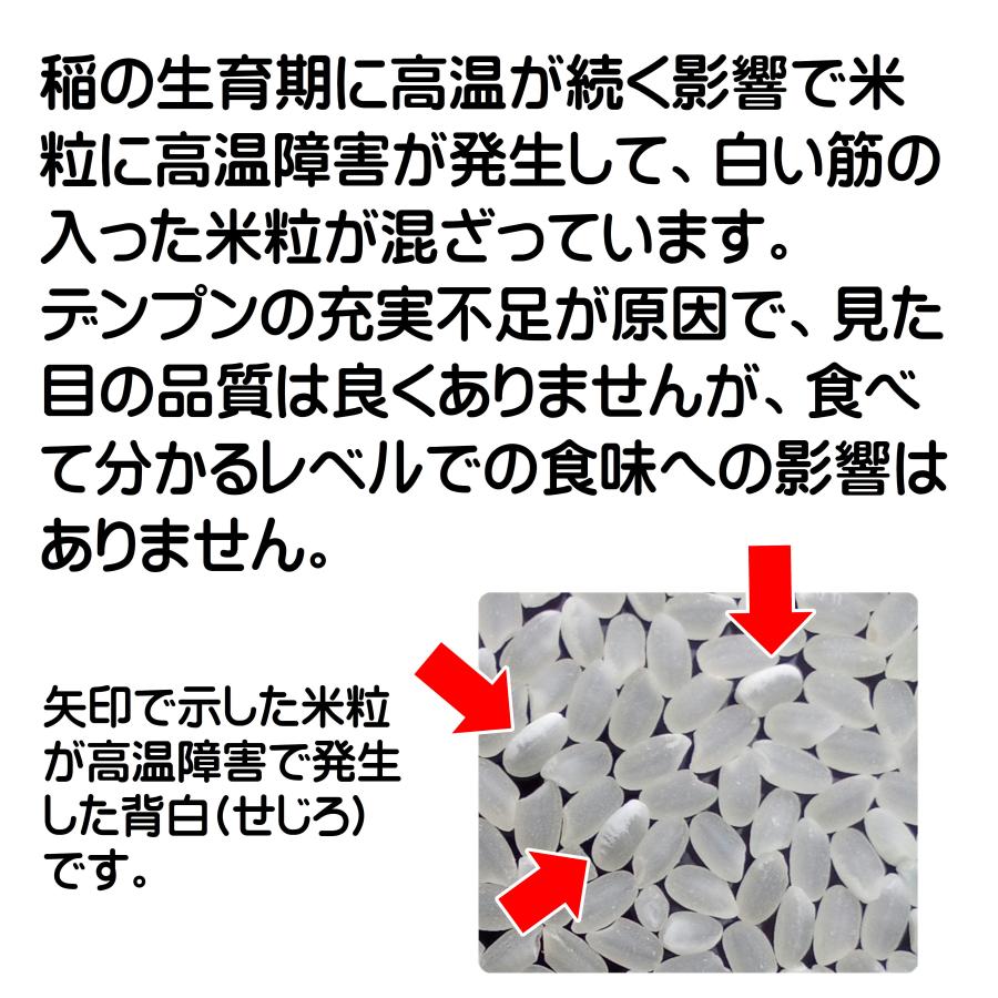 コシヒカリ 三重県産 20kg 令和7年産 白米 5kg×4袋 「三重産こしひかり