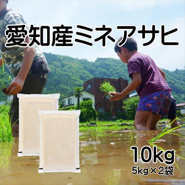 ミネアサヒ お米 愛知産 10kg(5kg×2袋) 令和7年産 食味ランキング特A