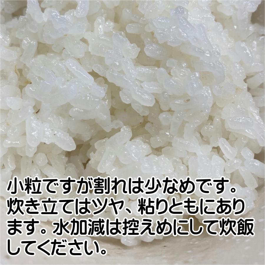 ミルキークイーン 令和7年産 5kg 三重県産 白米「三重産ミルキー