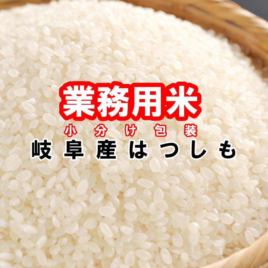 ハツシモ 業務用 寿司 15kg 令和7年産 1.5kg×10袋 白米「岐阜産はつし