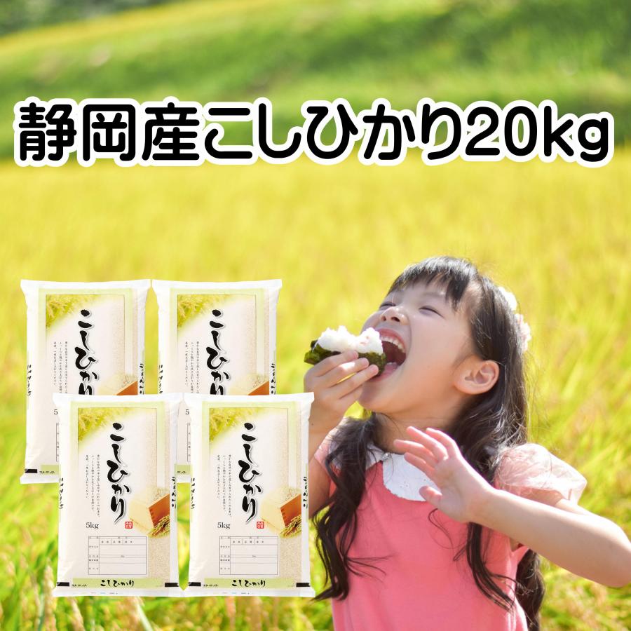 コシヒカリ お米 20kg 静岡県産 令和7年産 白米 5kg×4袋 「静岡産 