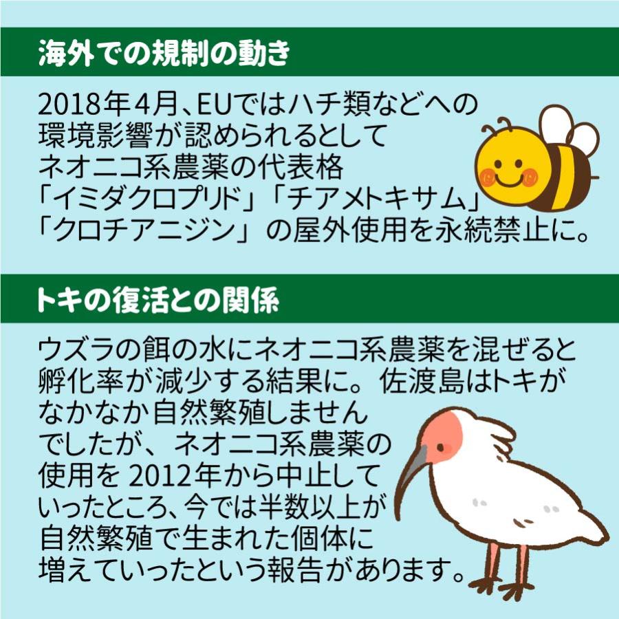 ネオニコフリー 愛知県産あいちのかおり 10kg 令和5年産 白米 特別栽培米｜ko-mura｜04