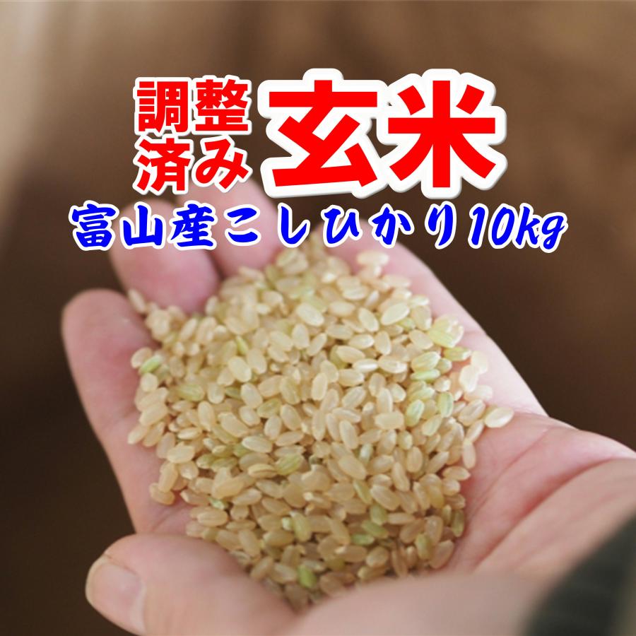 コシヒカリ 玄米 10kg 令和6年産 富山県産 精米・分搗き無料 コシヒカリ 玄米 10kg 令和6年産 富山県産 精米・分搗き無料