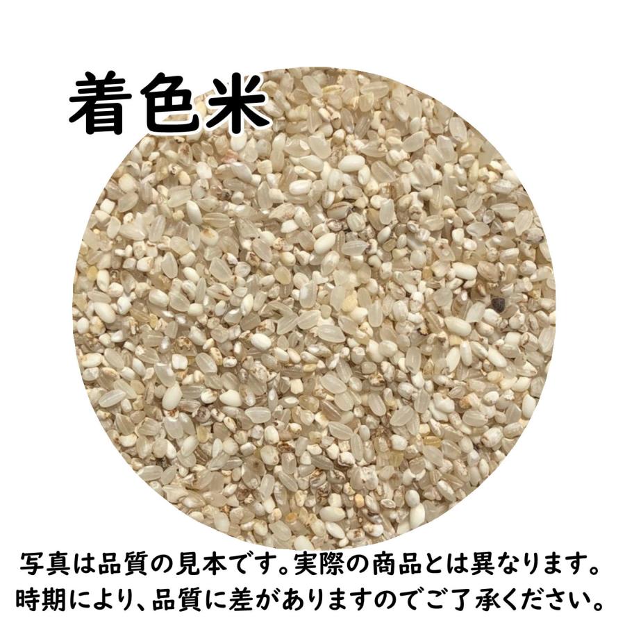 鳥の餌 エサ 20kg 着色米(ちゃくしょくまい) : 米屋のこうむら 鳥の餌 エサ 20kg 着色米(ちゃくしょくまい) : 米屋のこうむら
