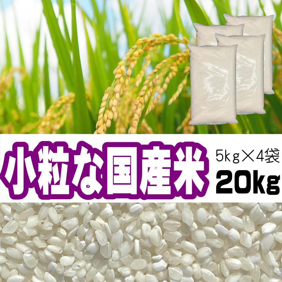 お米 20kg 生活応援 訳あり 小粒な国産米 白米 ブレンド米 「小粒な 