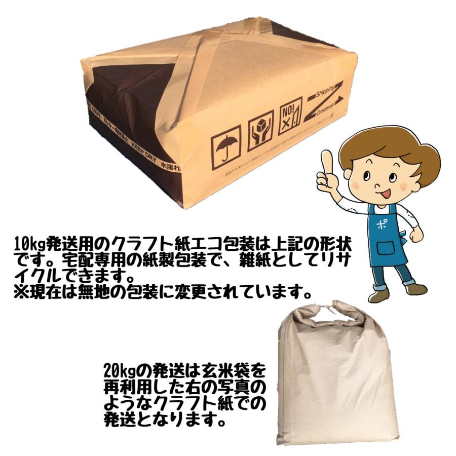 ミルキークイーン 20kg 岐阜産 令和5年産 白米 5kg×4袋｜ko-mura｜05