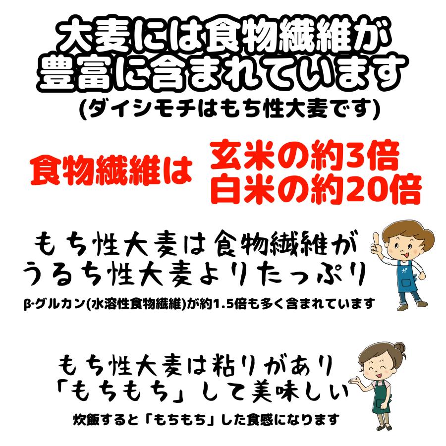 訳あり もち麦 10kg 国産 雑穀 ダイシモチ 紫もち麦 三重県産｜ko-mura｜03