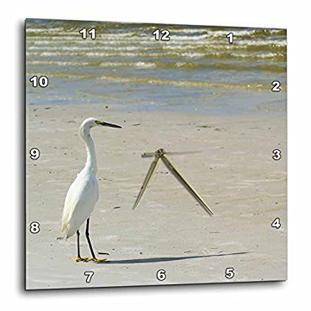 激安特価 特別価格3drose Egret On The Beach Wall Clock 15 Inch Dpp 3 好評販売中 アートレプリカ Optem Pl