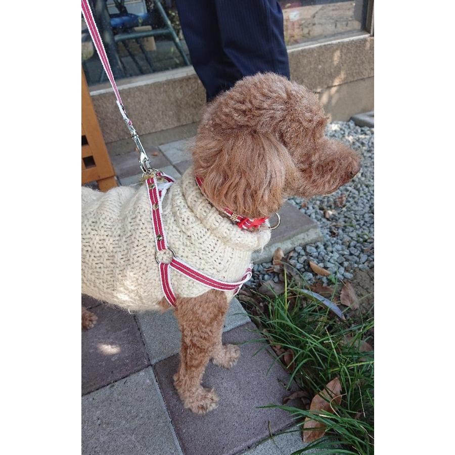 ペットの名前刻印できます！ ペットの紐ハーネスとリードセット 軽くて