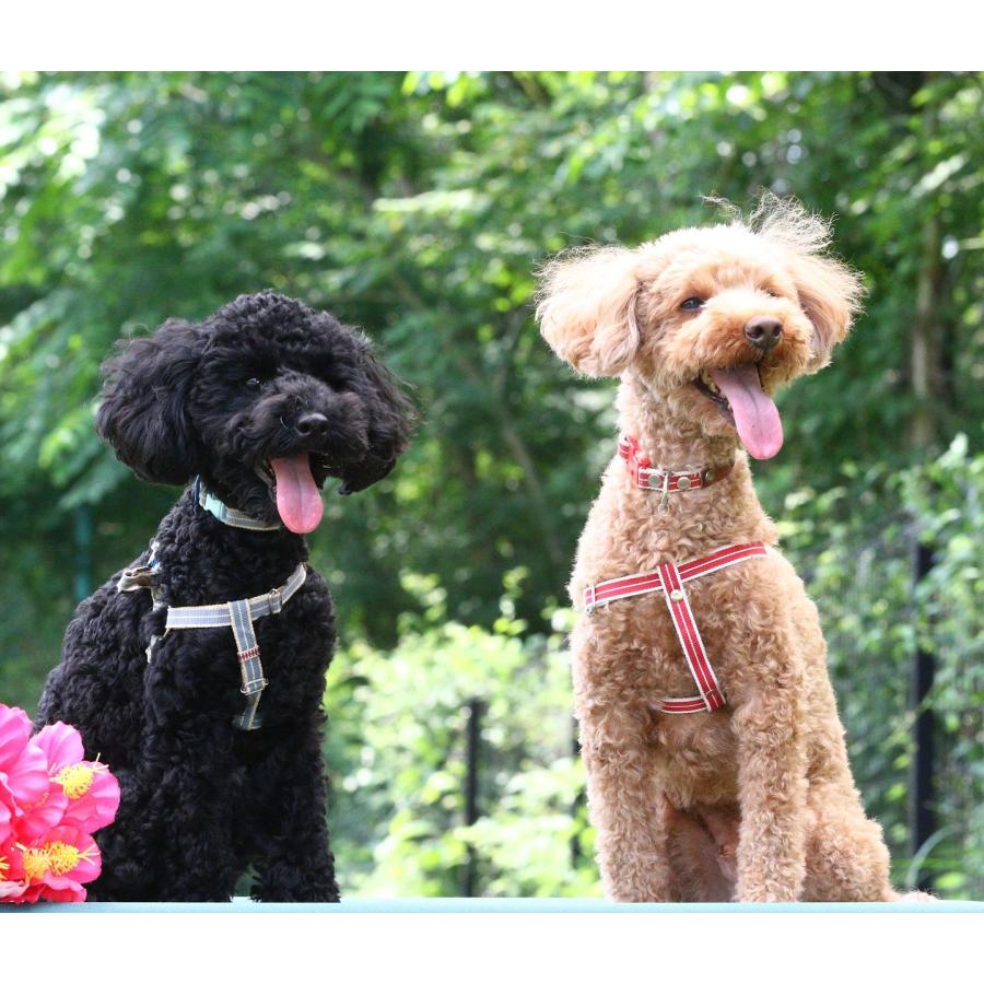 真田紐犬用リード、首輪となめし革首輪セット 真田紐犬用リード、首輪となめし革首輪セット ペットの名前刻印でき