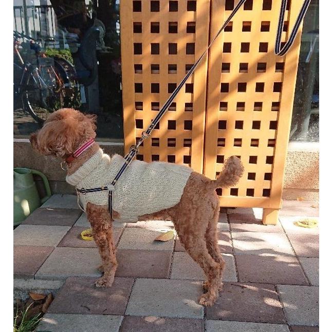 ペットの名前刻印できます！ ペットの紐ハーネスとリードセット 軽くて