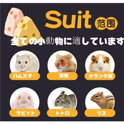 噛むおもちゃ 歯ぎしり石 歯ケア ペット 清潔 全2種 Az コアラの家 通販 Yahoo ショッピング