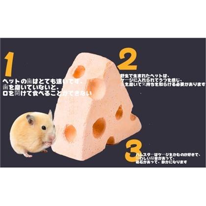 噛むおもちゃ 歯ぎしり石 歯ケア ペット 清潔 全2種 Az コアラの家 通販 Yahoo ショッピング