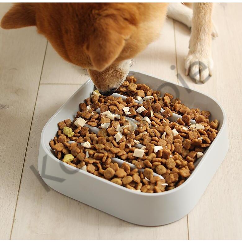 ペット 早食い防止 犬 フードボウル ペットボウル スローフード 丸飲み 防止 食器 ペット用品 餌入れ 小型犬 中型犬 ペットフード ドッグフード De01221 コアラの家 通販 Yahoo ショッピング