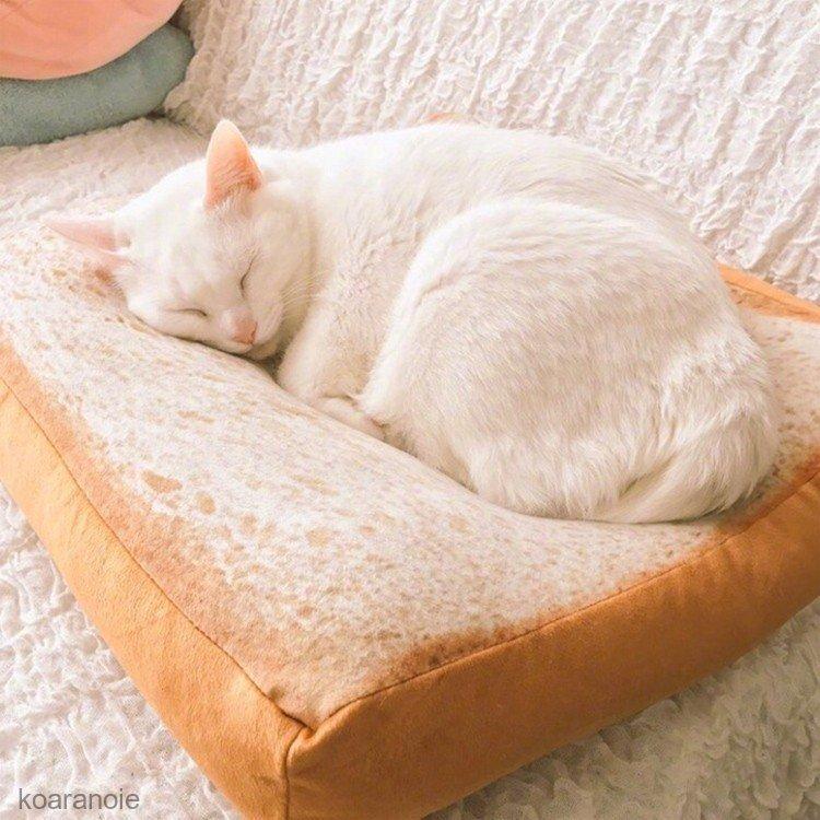 ペット 猫 犬用ベッド 寝具 食パンクッション ペット用品 トーストパン 座布団 猫用品 ペット グッズ 可愛い Kg Sd0027 コアラの家 通販 Yahoo ショッピング