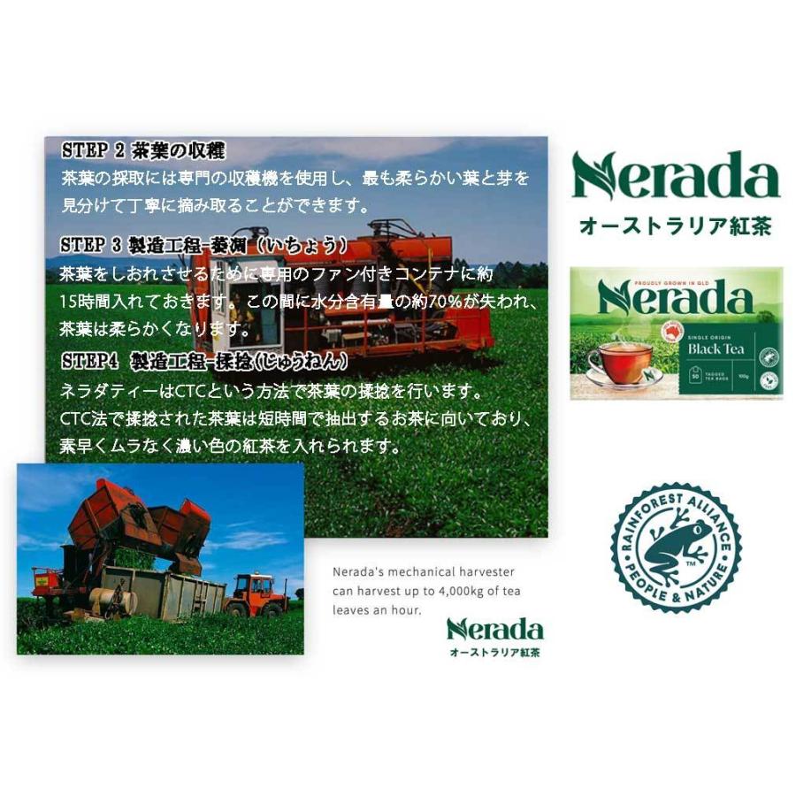 ネラダ オーストラリアン紅茶 50P 減農薬紅茶　｜kob-store｜05