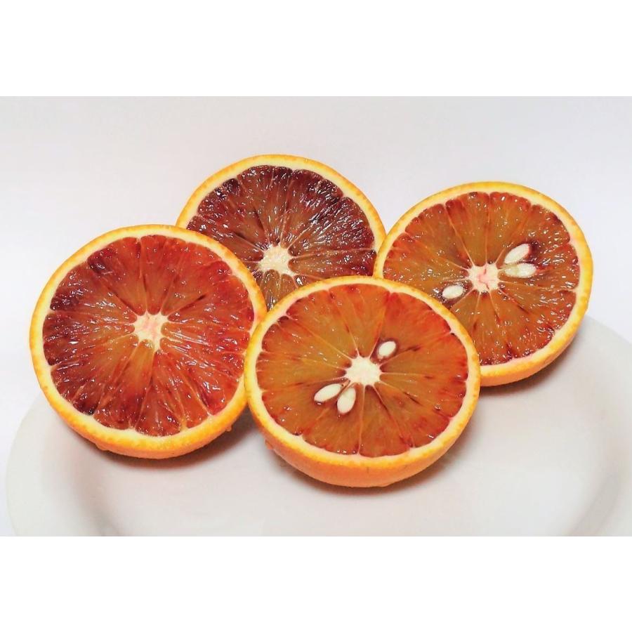 山口周防大島産『ブラッドオレンジ(タロッコ) 家庭用 大箱 約9kg