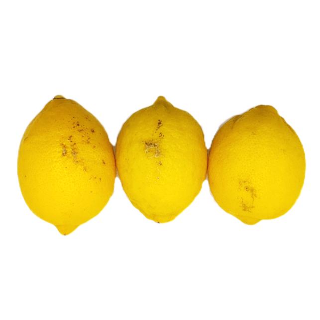 山口周防大島産『レモン 家庭用 中箱 約4kg』サイズ無選別