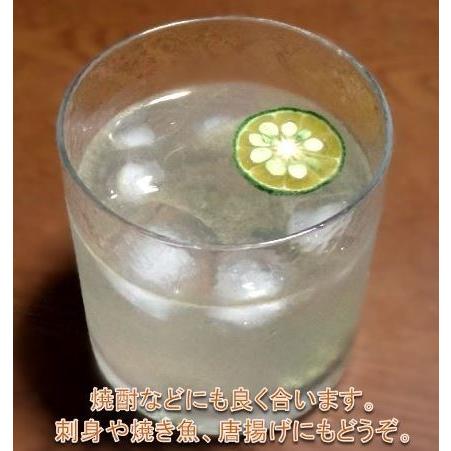 山口周防大島産『青切りシークワーサー果実 約1kg 家庭用』サイズ無