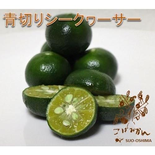 山口周防大島産『青切りシークワーサー果実 約5kg 家庭用』サイズ無