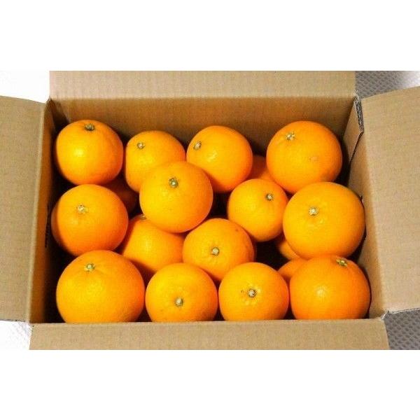 山口周防大島産『大三島ネーブルオレンジ 家庭用 大箱 約9kg』サイズ無