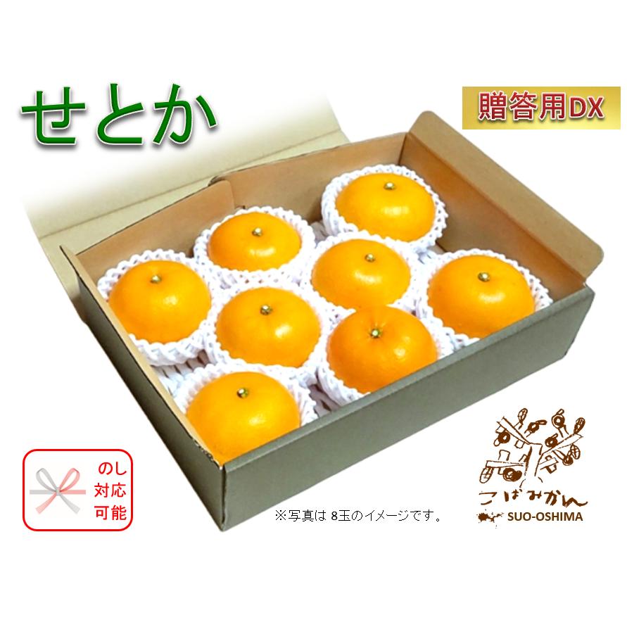 山口周防大島産『せとか 贈答用DX 約1.6kg(6〜8玉) 化粧箱 山口周防大島産『せとか 贈答用DX 約1.6kg(6〜8玉) 化粧箱