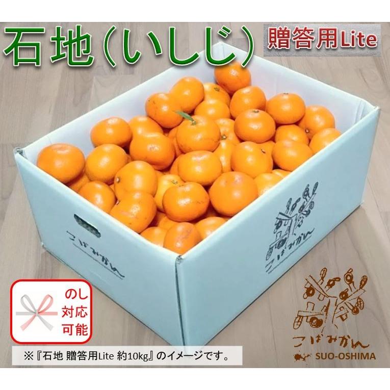 山口周防大島産『石地(いしじ) 贈答用Lite 中箱 約4.8kg』(箱込約5kg